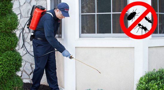 Hayrabolu Dezenfeksiyon böcek ilaçlama ve haşere kontrolü — ilaclama-tr.com